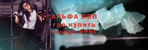 стафф Алексин