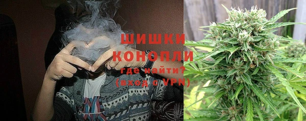 гидра Алзамай