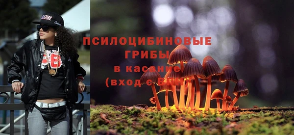 гидра Алзамай