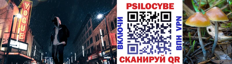 Галлюциногенные грибы ЛСД  купить   это как зайти  Протвино 